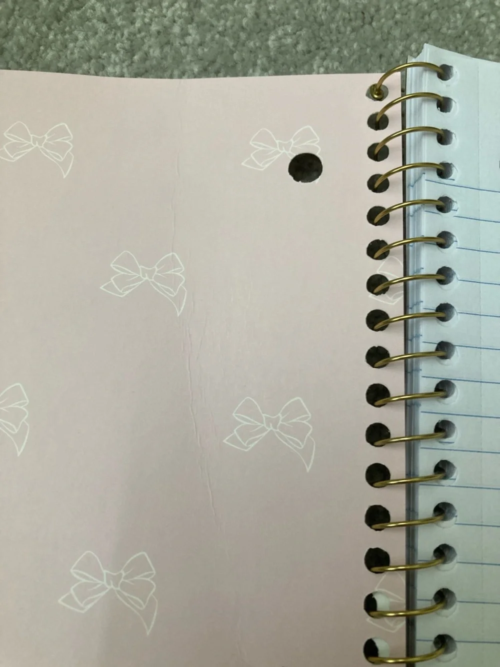 IN-HAND | LoveShackFancy x Target Yoobi Coquette Bow Spiral Notebook